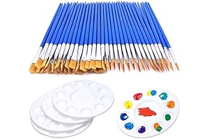 65Pcs Paint Brushes,Tray Palettes Set