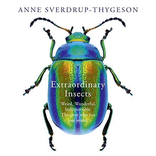 Extraordinary Insects by Anne Sverdrup-Thygeson, Lucy Moffatt - translator episode artwork