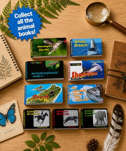Image of Ocean Life Flipbook 3-Pack for Kids 6-12, Animation Flip Books for Children | Whale, Sharks & Flying Fish on Flip Book Paper, Educational STEM Flipbook Set for Boys & Girls, Animated Marine Biology