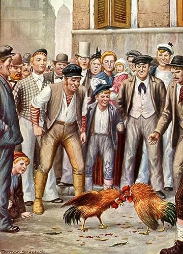 Cuadro sobre lienzo de peleas de gallos por Tancredi Scarpelli decoración hogar 60x90cm