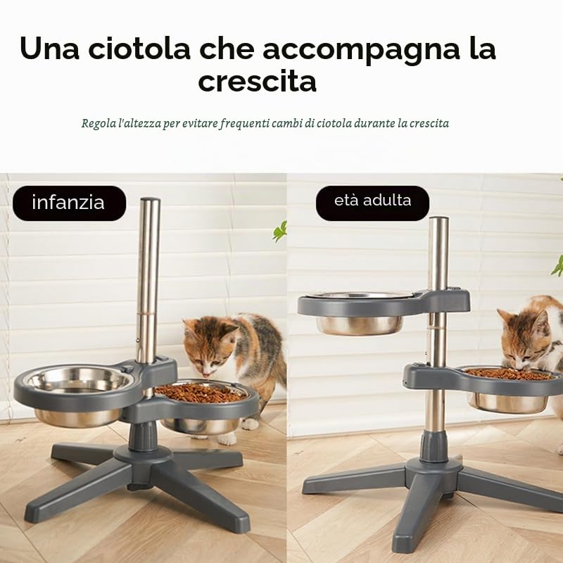 Ciotola Regolabile in Altezza per Cani di Grossa Taglia, 2 Ciotole Antiscivolo con Telaio, Stazione di Alimentazione Elevata