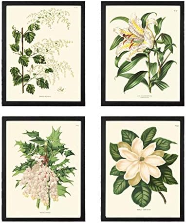 Amazon.com: LoveThePrint Botanical White Flowers Wall Art Print Set of ...