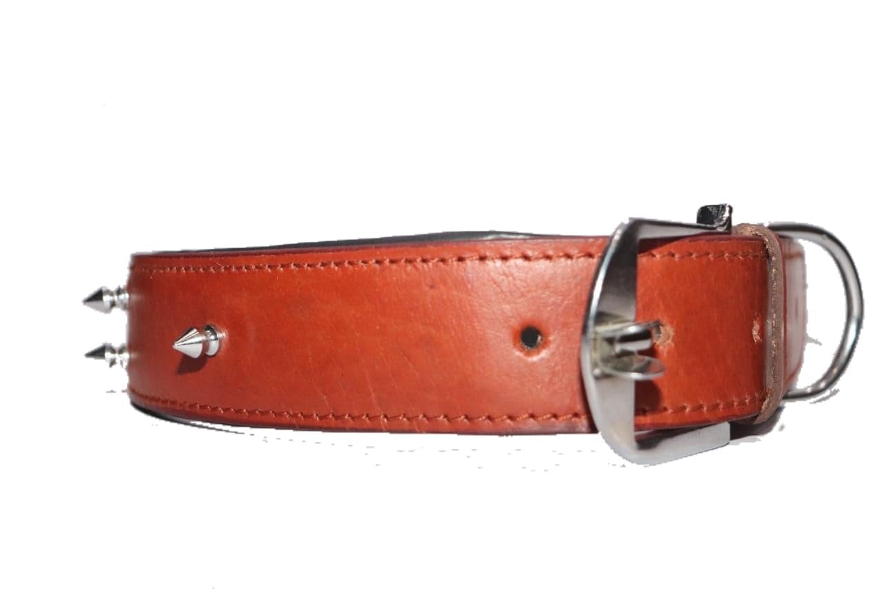 Smart Doggie® Dog Collars Genuine Leather Spike Studded Adjustable and Padded Neck Belt for Medium Dogs of All Breeds Perfect for Your Furry Friend (1 Inches) – Colour May Vary (B09KH848JQ) Amazon Price History, Amazon Price Tracker
