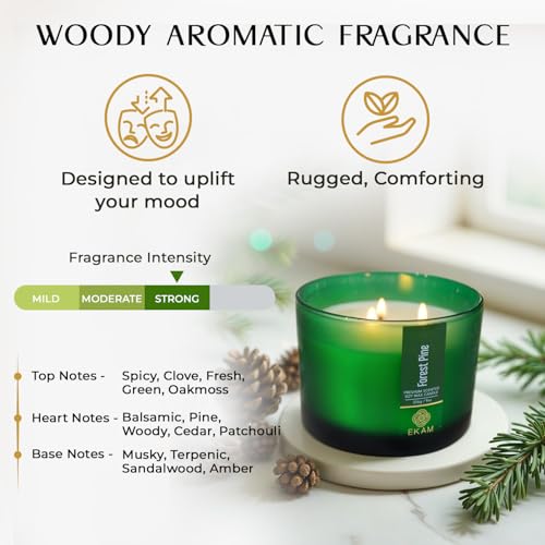 Image of EKAM 3 Wick Soy Wax Scented Candle | Forest Pine Fragrance | 35 Hr Burn | Long Lasting Premium Jar Candle for Home Decor, Relaxation & Gifting