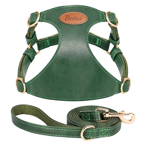 Beirui ‌Stylish PU Leather Dog Harness‌ and Leash Set for Small Dogs, ‌Adjustable Step in Dog Vest Harness with Breathable Mesh Lining and Durable Metal Buckle for Walking Traveling(Green,M)