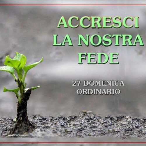 Omelia 05 Ottobre 2025 - XXVII Domenica del Tempo Ordinario
