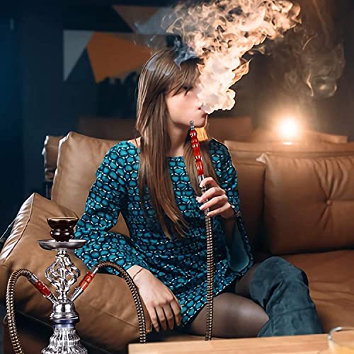 LSZ Shisha-Set Tragbarer 29cm Shisha-Wasserhukah-Set, verdicktes Glashukas Set mit 2 Schlauch, modernes Shisha… – Bild 7