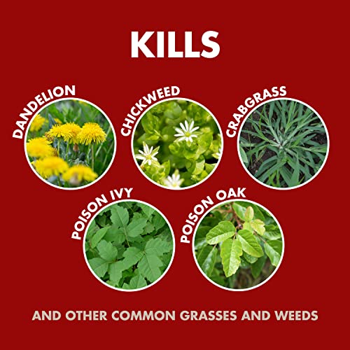Image of Spectracide Weed and Grass Killer Concentrate, 32 Ounces, With Accumeasure System (Case of 6)