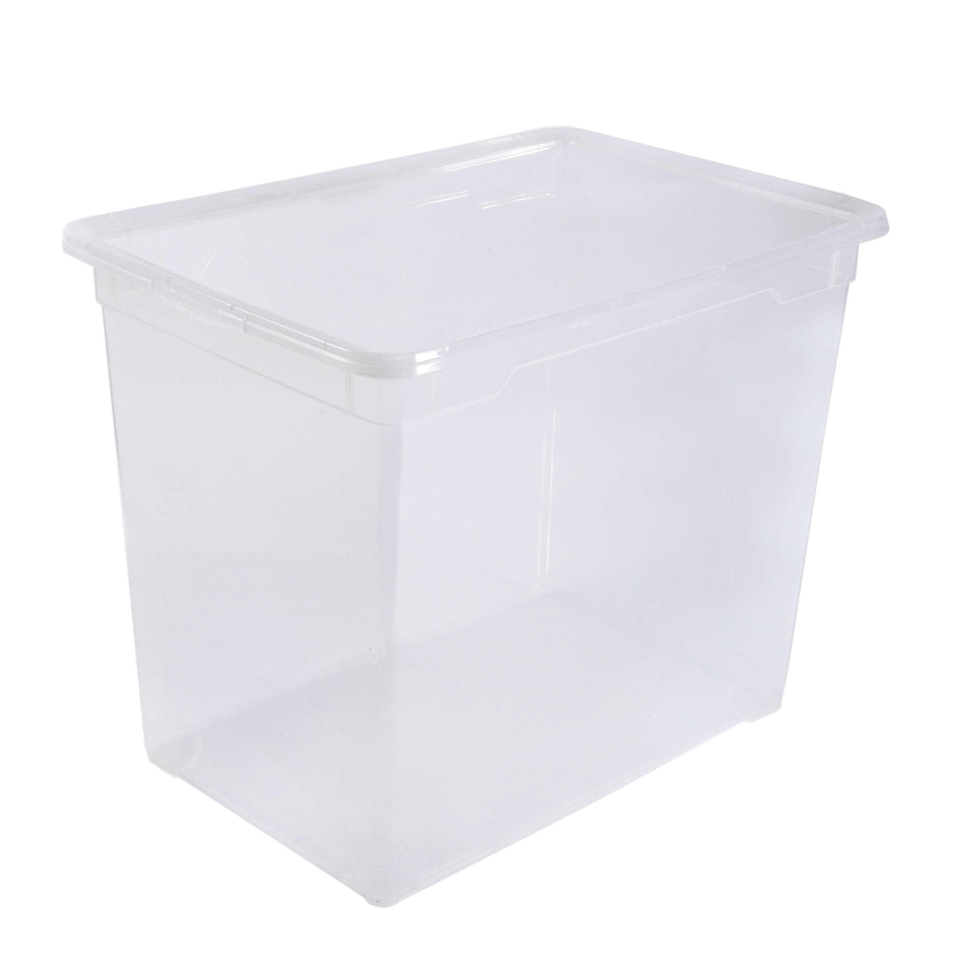 Rotho 1422900096 Clear Box Mega, Transparent, 70L