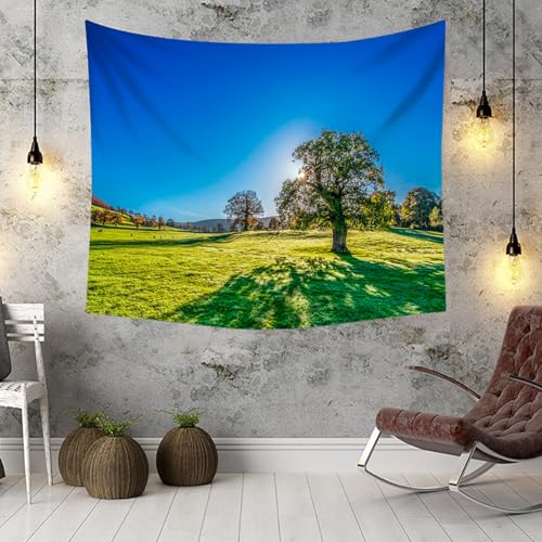 Tenture murale ciel bleu pelouse arbres au format géant 260x240cm - 3