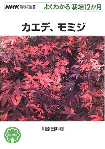 キンドル 無料電子書籍 カエデ、モミジ (NHK趣味の園芸 よくわかる栽培12か月) バイ