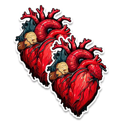 Anatomical Heart Magnet 4 Inch 2-Pack Medical Anatomy Organ – Strong Vinyl Decorative Magnets for Fridge Locker Kitchen Office – Cute Fun Aesthetic Cool Durable & Long-Lasting Souvenir Id44999