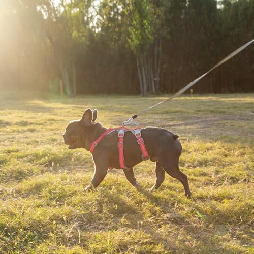 Huntboo Hundegeschirr Ausbruchsicher, Panikgeschirr Hund, Reflektierender Gurt mit Gepolstertem Griff, Atmungsaktiv, Verstellbare Weste für Große Hunde, die Spazieren Gehen,und Rennen (Rot, L)
