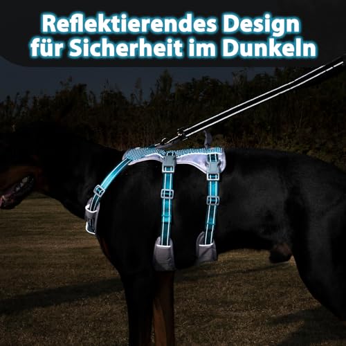 Huntboo Sicherheitsgeschirr Hund Ausbruchsicher, Panikgeschirr für Hunde, Reflektierendes Geschirr Hund mit Griff, Verstellbare Hundegeschirr für kleine, mittelgroße und große Hunde (Blaugrün,M)