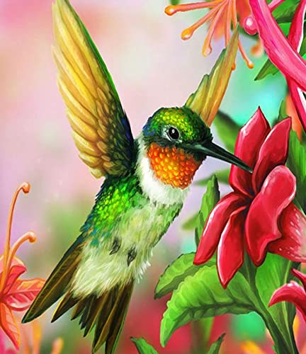 Kit broderie point de croix colibri fleur canevas 11CT débutant