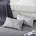 Produktbild GIGIZAZA Silbergrau Kissenbezug Samt Kissenhülle 30x50cm Deko Kissenbezüge Dekokissen Fall für Sofa Schlafzimmer Wohnzimmer 2er Set