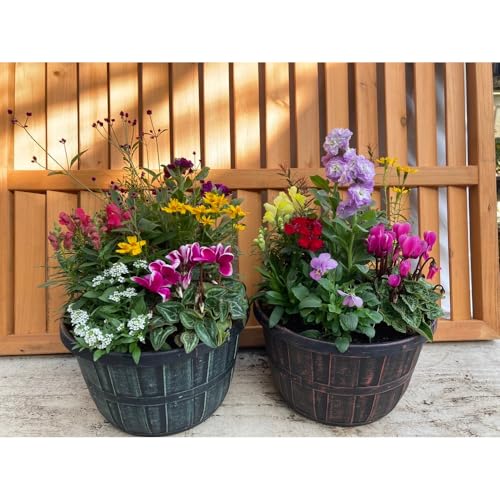 G߂̊񂹐A AeB[N 2Zbg yʃvX`bN a24cm ̐FIs ԃMtg ̓ a Vzj