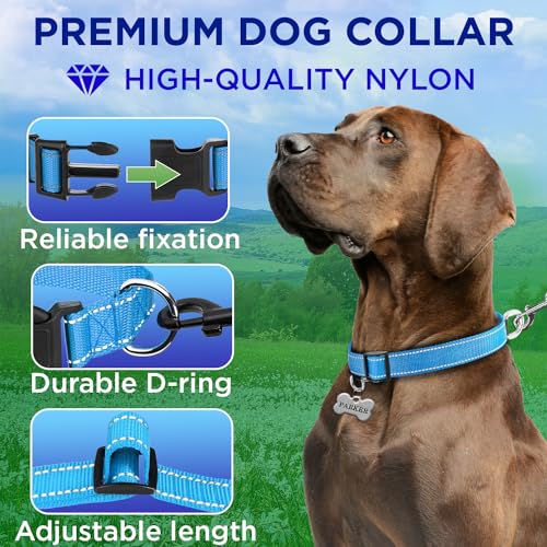 Collar Reflectante para Perro TECEUM Azul Cielo M miniatura 2