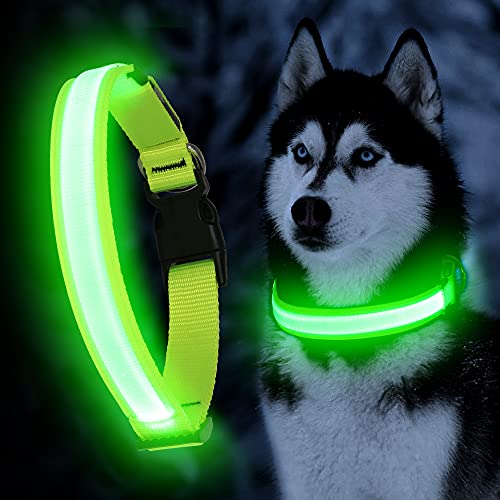 YFbrite Ultra Light Up Hundehalsband - Verstellbares LED Hundehalsband - Wasserdichtes Hundehalsband - Blinkendes Hundehalsband Sichtbarkeit & Sicherheit für Ihre Hunde (Grün, XL) Cover