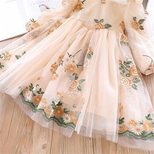 Girls Long Sleeve Embroidery Floral Dress Cute Full𝐲 Tulle Tutu Maxi Dresses Cute Vintage Flowy Princess Dress2
