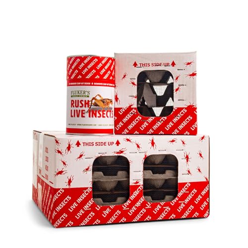 Flukers Live Crickets 1000 Count Feeder Insects for Reptiles Chickens and Birds Medium (Approx. 1/2)