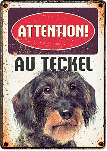 plenty gifts Plaque métal Vintage Attention au Teckel Cover
