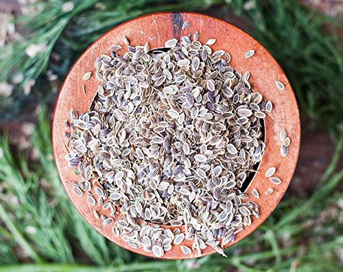 Miniatura 5 de Semillas de eneldo enteras, 8 onzas  Kosher, crudas, veganas, a granel