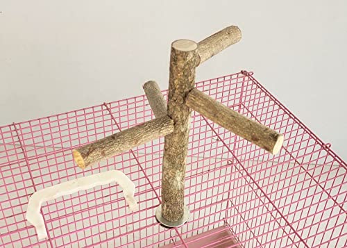 Image of KSK 9'' Natural Wood Bird Perch Stand, Hanging Multi Branch Toys for Parrots, Parakeets Cockatiels, Conures, Love Birds, Finches