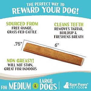 Raw paws jumbo bully sticks 6 inch 5 ct  extra thick bully sticks for dogs  grass fed no hormones free range cows  pizzle sticks for dogs  long lasting bully bones for aggressive chewers   cucciolini doodles