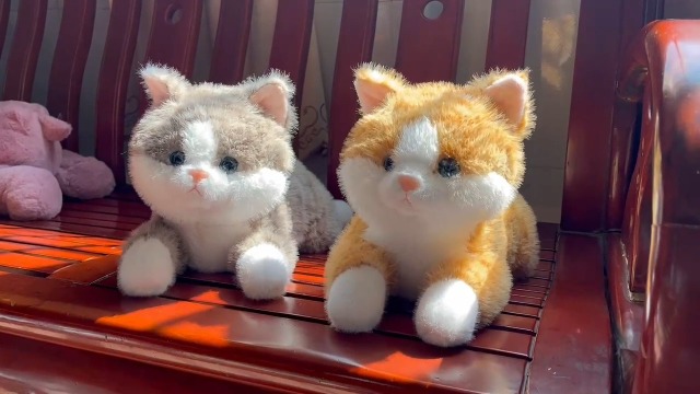 Amazon.com: Leahaoe Weighted Stuffed Cat 19