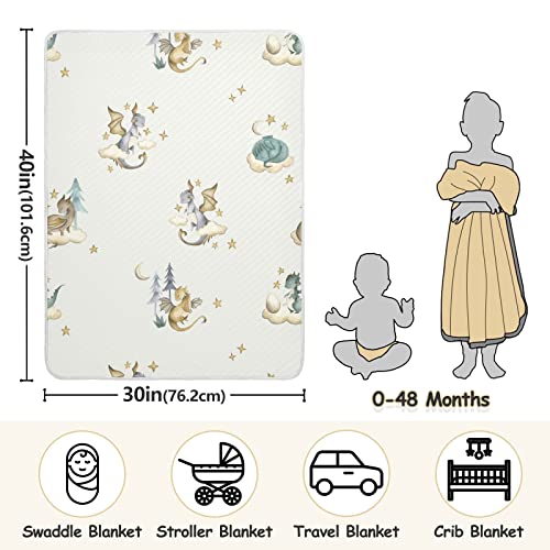 Image of Dragon Baby Cotton Swaddle Blanket - Lightweight Soft Receiving Blanket for Infants, Crib, Stroller, Nursery - Fairytale, 30x40 in