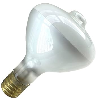 Industrial Performance H39BV-175/DX, R40 Size, Mercury Vapor