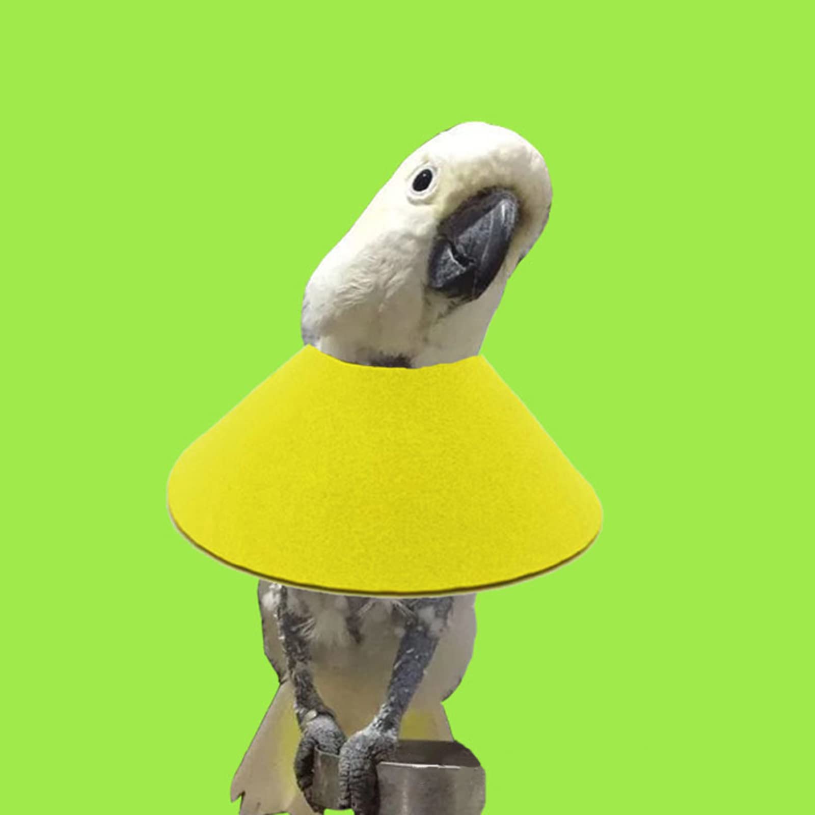 Vogelhalsband Anti-Biss Für Papageien & Sittiche - Verstellbarer Schutzkragen In 4 Größen