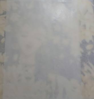 ぼくの地球を守って　キャンバスアート　木蓮 Amazon.co.jp: ぼくの地球を守って 木蓮 キャンバスアート : ホビー