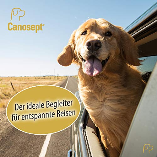 Canosept Home Comfort Beruhigungshalsband - Hundehalsband mit Baldrian & Lavendel fördert Wohlbefinden & Entspannung bei Hunden