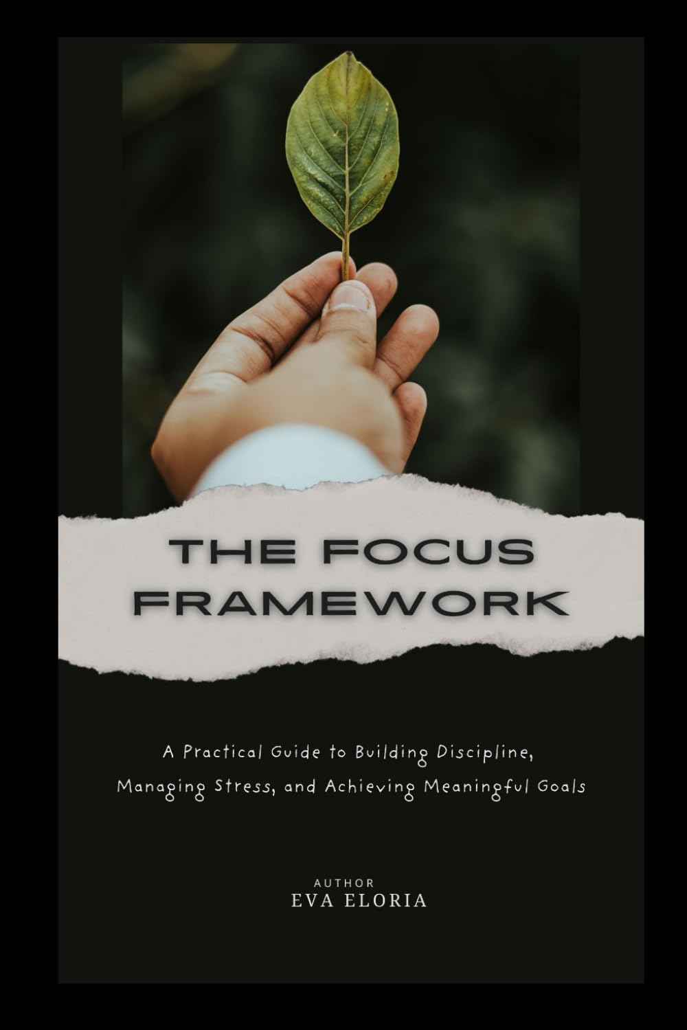 The Focus Framework: A Practical Guide to Building Discipline, Managing Stress, and Achieving Meaningful Goals