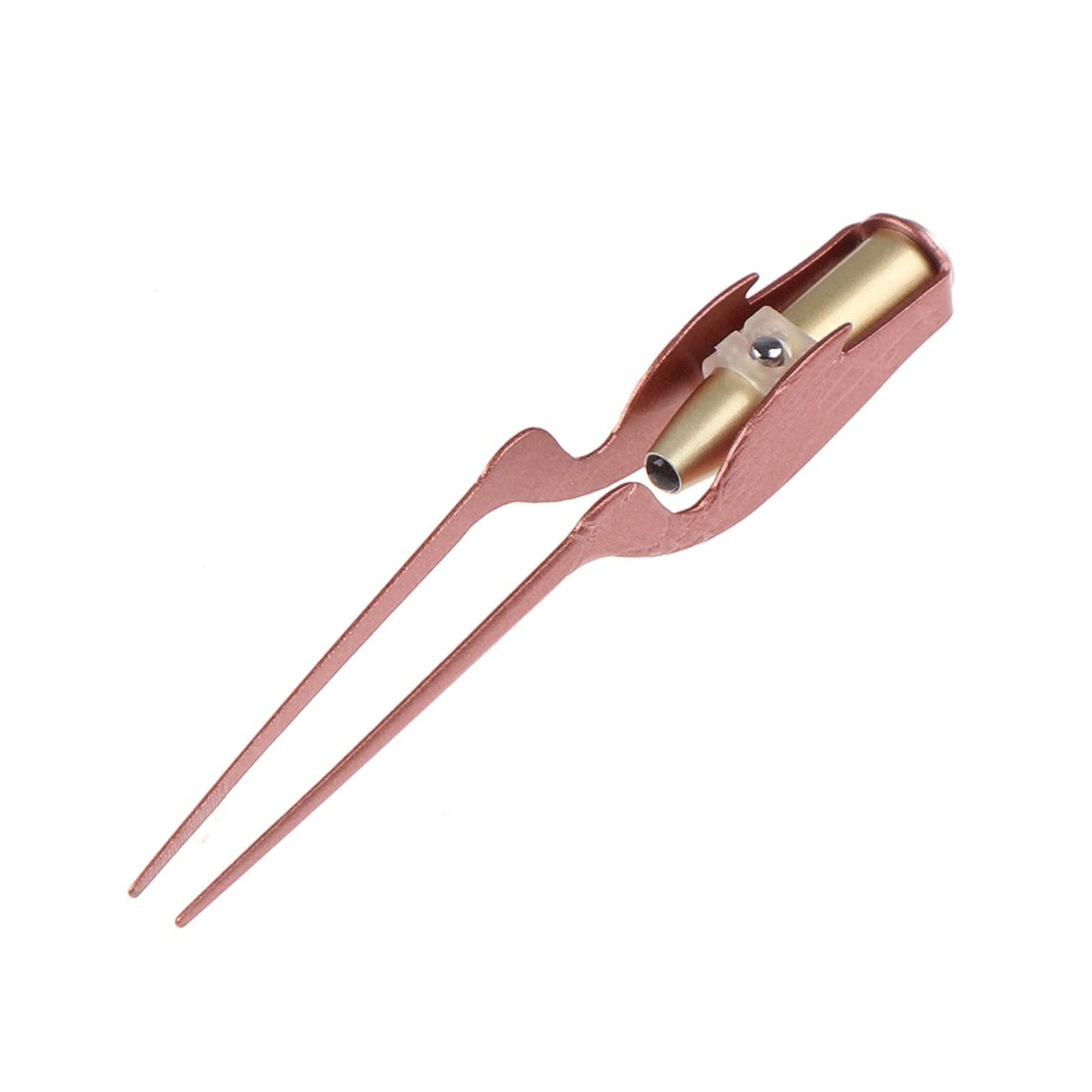 Produits pour l'élimination du cérumen, pincettes Auriculaires, Lampe de Poche LED, Outil de Nettoyage des Oreilles, Nez, pincettes en acie