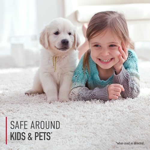 Image of Hoover OnePwr Vacuum Filter for FloorMate Jet Vacs, Reusable, High-Performance Filtration, Part # AH45201, Hoover Hardfloor Vacuum Filters Replacement