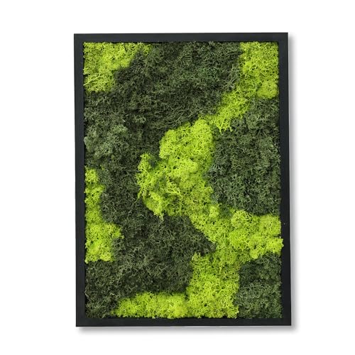 Comforder Quadro Muschio Stabilizzato Rettangolare (27x38 cm), Muschio Vero con Cornice in Legno per Decorazione da Parete Soggiorno