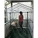 Home-Complete 514537FXW Walk-in Greenhouse-Indoor Outdoor with 8 Sturdy Shelves-Grow Plants, Seedlings, Herbs, or Flowers in Any Season-Gardening Rack, Green