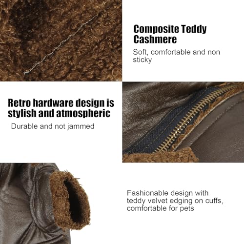 Hunde-Winter-Ledermantel, Hunde-Lederjacke, Warm für den Winter, für Draußen, für Kleine, Mittelgroße Hunde, für Katzen (S)