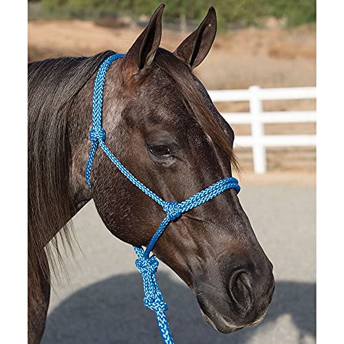 Professional's Choice Ranch Hand Halter and 10 Lead