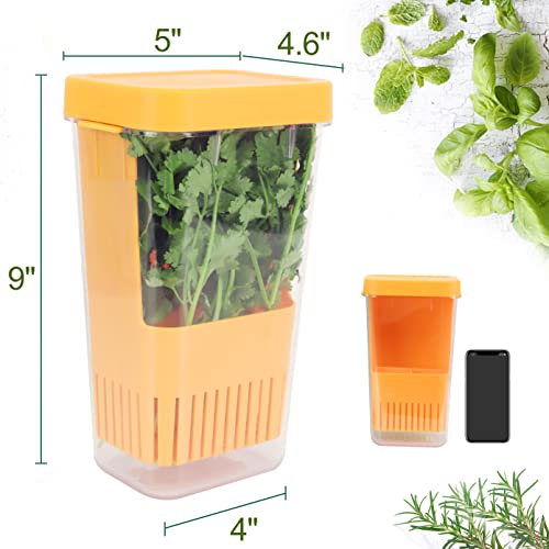 Image of LUVCOSY Fresh Herb Keeper for Refrigerator, Clear BPA-Free Herb Saver, Storage Container for Cilantro, Parsley, Thyme, Mint & Asparagus, Preserver Keeps Fresh Herbs for 3 Times Longer, Orange