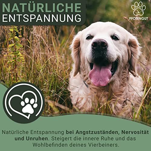 PFOTENGUT® Relax Tabletten 120 Stück [Made in Germany] - Hunde Beruhigungsmittel mit Taigawurzel, Baldrian & Hanfpulver - Natürliches Beruhigungsmittel für Hunde - Verbesserte Version 2023