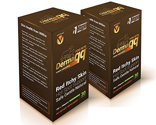 Best Ubiquinol For Cats