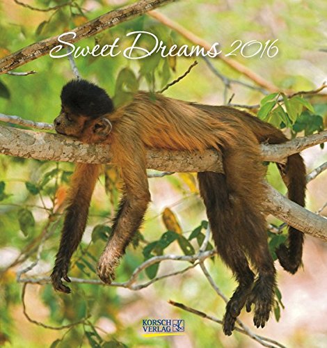 Sweet Dreams 2016: aufstellbarer Postkartenkalender Sweet Dreams 2016: aufstellbarer Postkartenkalender