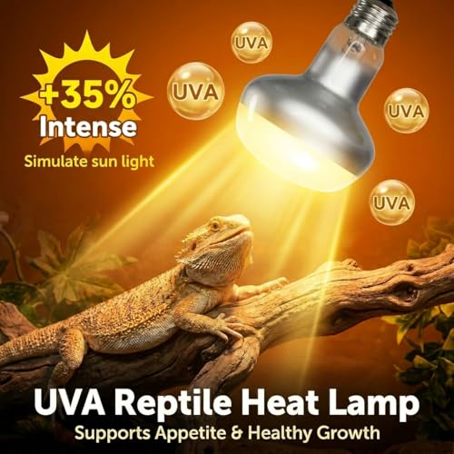 GofyReax 150W Reptile Heat Lamp, 2 Pack Day & Night Basking Lamp Combo, UVA Daylight Heat Bulb & Infrared Red Night Heating Light, Terrarium Heat Lamps for Reptiles, Bearded Dragon, Lizard, Chicken — view 3