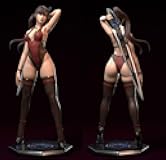 Eve Racer's Stellar Blade 25cm Figure/Statue, SLA/Pla Printed,Painted