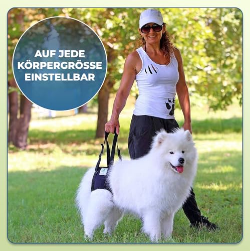 Nature Pet © - Tragehilfe Hund hinten - Verstellbarer Hunde Tragegurt als Treppenhilfe - Ideal für ältere, kranke oder operierte Vierbeiner - Praktische Unterstützung für Mobilität (M, Blau)