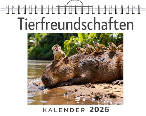 Tierfreundschaften: Wandkalender 2026, Kalender DIN A4 quer, Monatskalender im Querformat mit Kalendarium, das perfekte Geschenk